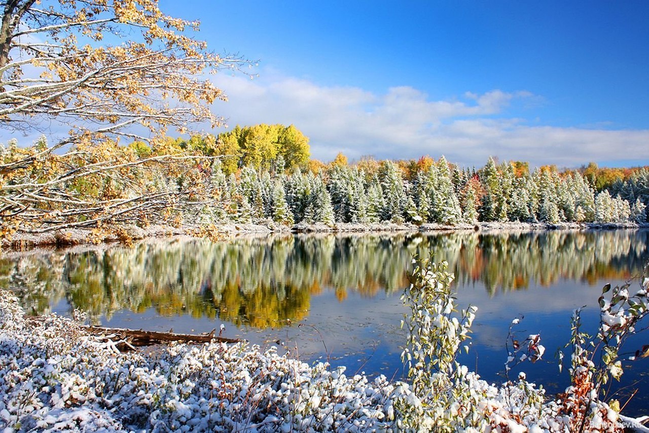 НОВОСТИ НА 09.11.2025 ГОДА